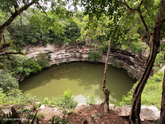 Cenote Sagrado en Chichén Itzá