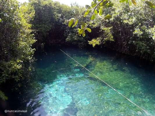 Cenotes en Riviera Maya: Xcacel Xcacelito, cerca de Tulum