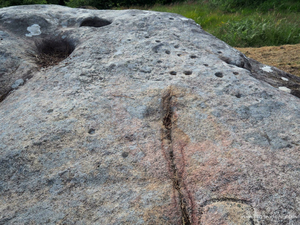 Petroglifo con forma de cazoletas en Campo Lameiro