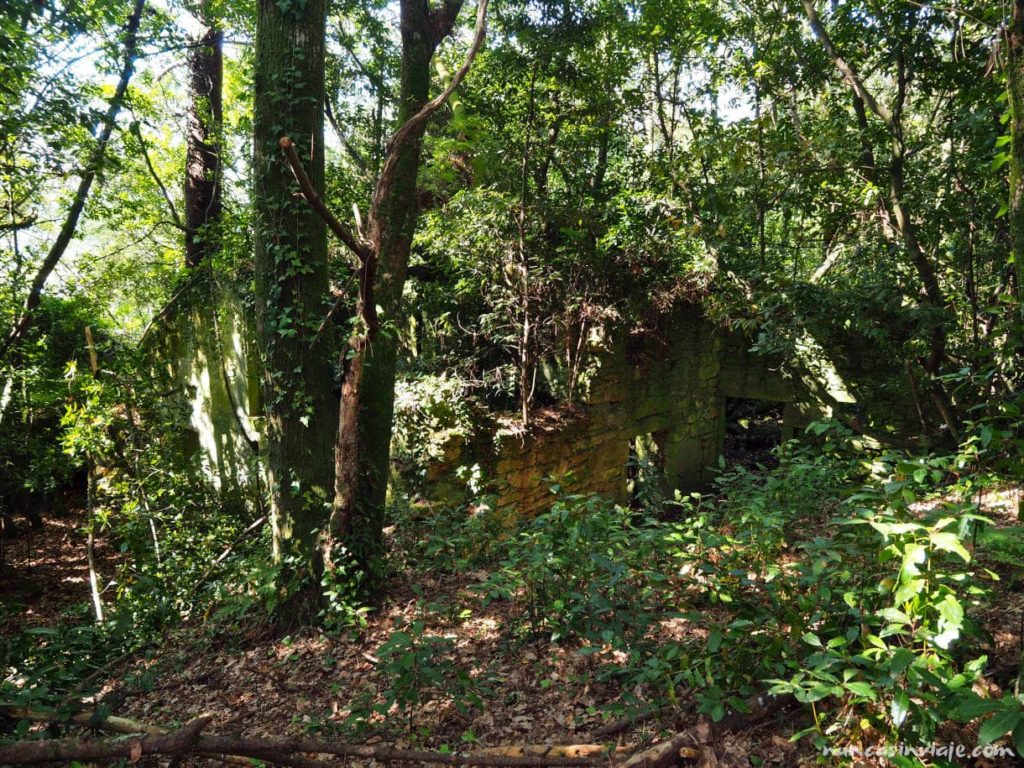Ruinas de la aldea de la isla de Cortegada