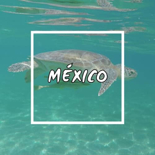 Guía para viajar a México