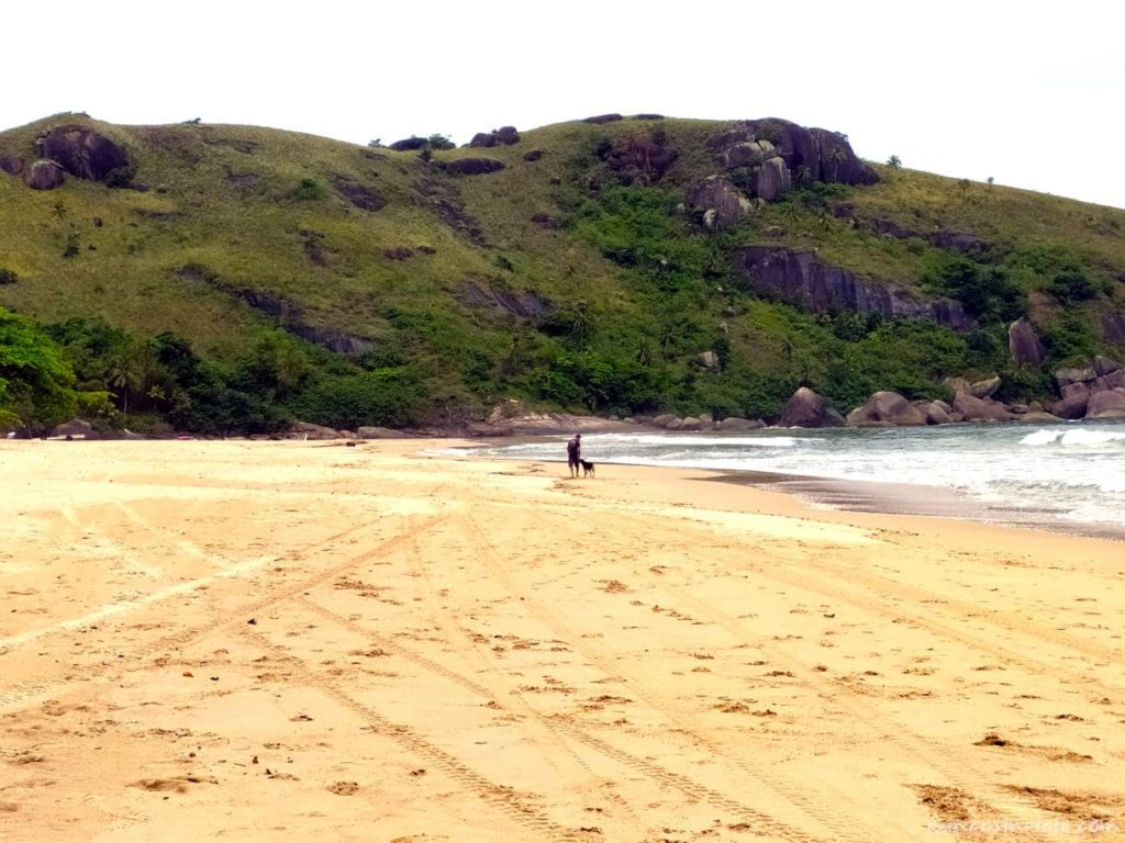 Un hombre pasea junto a su perro por la playa
