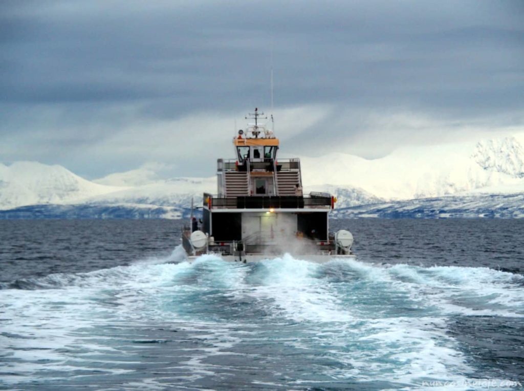 Uno de los barcos que hace excursiones para ver ballenas y orcas en Noruega