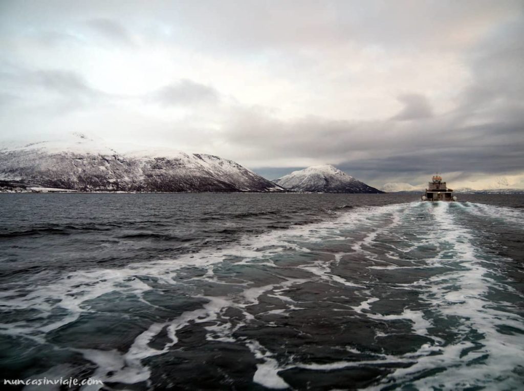 Un barco navegando por los fiordos árticos, rodeado de nieve y montañas