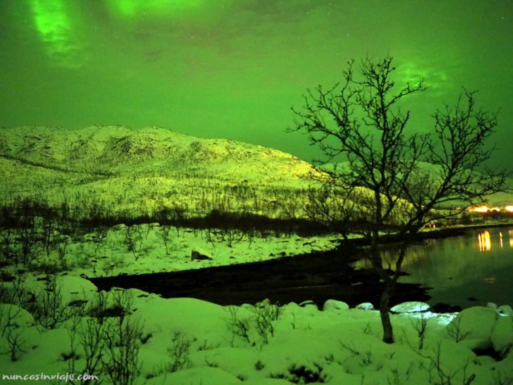 Sacar fotografías a las auroras boreales en Noruega