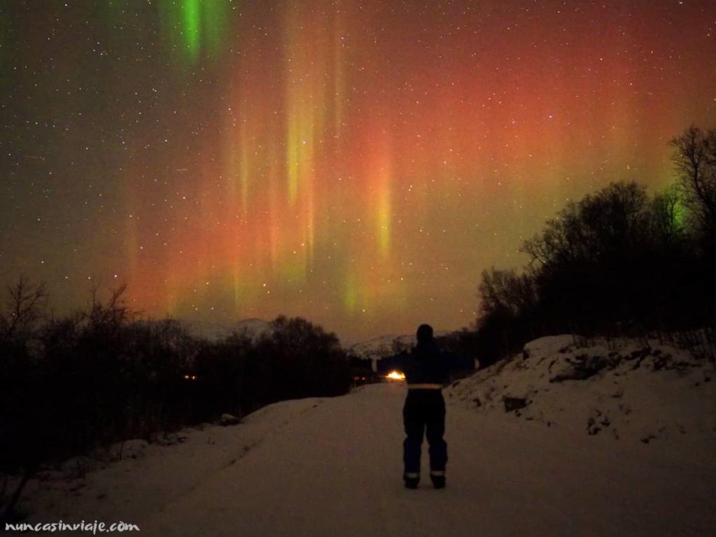 Las auroras boreales de Noruega brillando en el horizonte