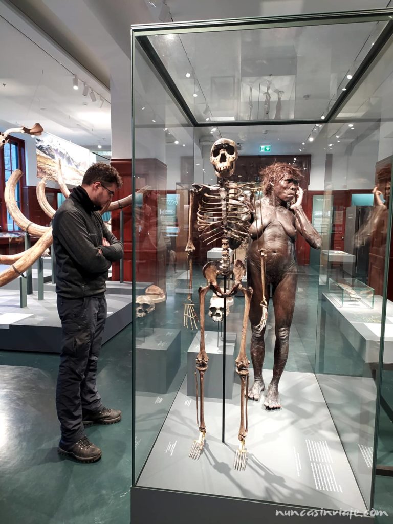 Tomás en uno de los museos de Oslo observando el esqueleto de un homínido