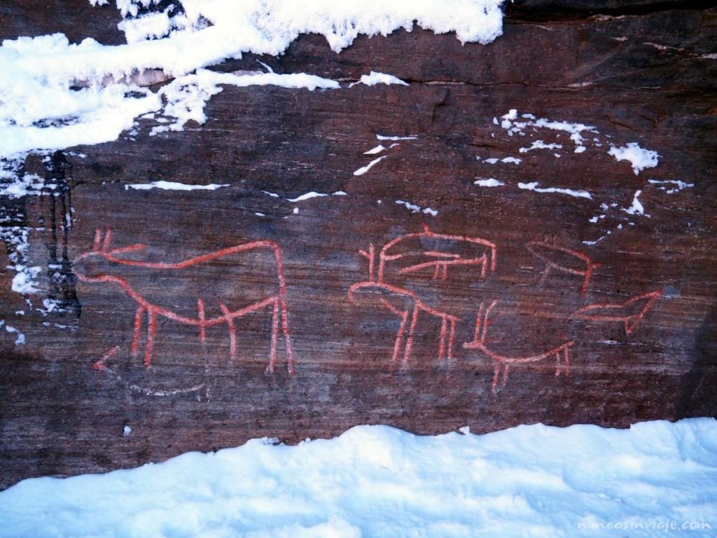 Conjunto de figuras rupestres que representan animales en Noruega